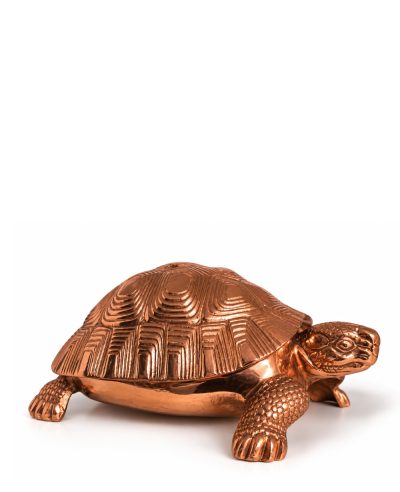 Copper Tortoise